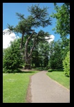 Kent - Leeds Castle -05-06-2014 - Bogdan Balaban